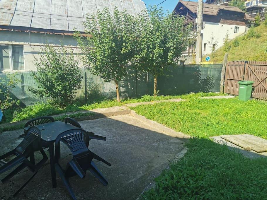 Vila Primitoare,Incalzire Centrala, Trei Dormitoare, Living, Baie Cu Cada Cu Hidromasaj, Bucatarie-Living Separata De Casa, Casuta De Gradina, Curte, Gratar Азуга Экстерьер фото