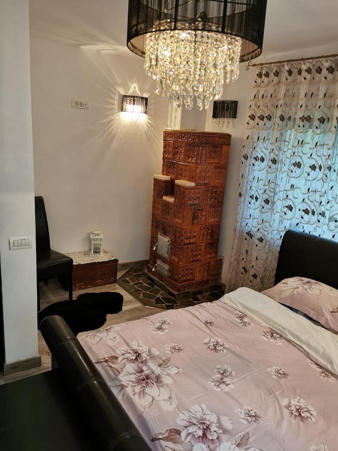 Vila Primitoare,Incalzire Centrala, Trei Dormitoare, Living, Baie Cu Cada Cu Hidromasaj, Bucatarie-Living Separata De Casa, Casuta De Gradina, Curte, Gratar Азуга Экстерьер фото